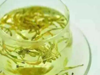 哪些人不能喝金银花茶，金银花哪些人群不能喝