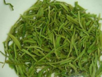 信阳毛尖的功效与作用，信阳毛尖的禁忌及副作用