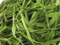竹叶茶的功效与作用，怎样自制竹叶茶