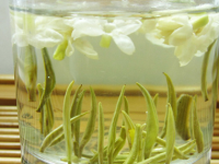 茉莉花茶价格：好茉莉茶多少钱一斤