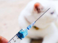 狂犬疫苗副作用终身，狂犬疫苗副作用很大吗？