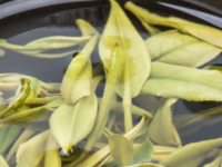 珍稀白茶是什么茶，珍稀白茶多少钱一盒