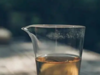 白茶是发酵茶吗，白茶口感特点描述