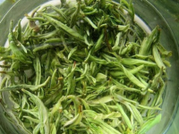白茶和绿茶有什么区别，白茶和绿茶哪种更好