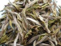 老白茶的功效与作用及禁忌，喝老白茶的好处