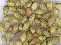 苍耳子散的组成与功效，苍耳子散方歌