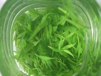 苦丁茶价格：苦丁茶多少钱一斤