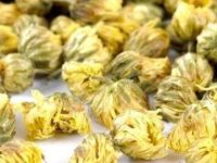 菊花茶哪种菊花好，菊花茶分哪几种