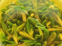 莲子心能吃吗，莲子心的功效与作用