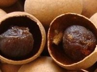 桂圆干的功效与作用，桂圆干怎么吃最有营养