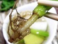 香菜根的功效与作用及食用方法