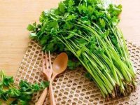 孕妇可以吃香菜吗，孕妇吃香菜好吗