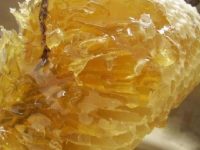 蜂蜜的作用与功效及禁忌
