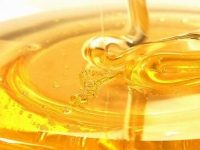 蜂蜜不能和什么一起吃，蜂蜜和什么一起吃会中毒