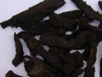 肉苁蓉能长期服用吗，肉苁蓉的危害极大