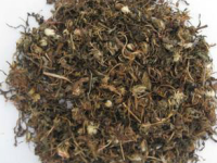蒲公英的作用和功能主治，蒲公英三大功效