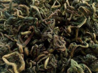 女人喝蒲公英水的作用，女性喝蒲公英茶的禁忌