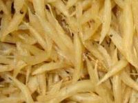 天冬的功效与作用及禁忌