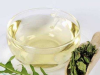 蒲公英茶的功效与作用及禁忌