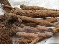 漏芦的副作用有哪些？漏芦主要是治什么病？