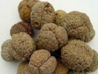 草豆蔻和白豆蔻的区别介绍