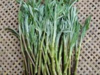 茼蒿和芦蒿有什么区别是什么？