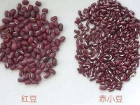 赤小豆和红豆的区别有哪些？