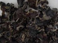 石耳的功效与作用及食用方法