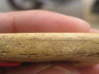 虎骨的功效与作用及禁忌