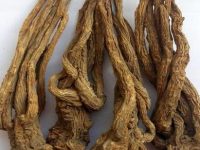 全当归的功效与作用及禁忌