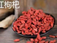 红枸杞的功效与作用及禁忌