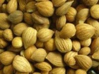 郁李仁的功效与作用及食用方法