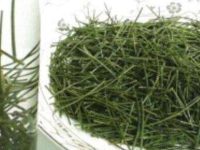 松针茶的功效与作用和服用方法