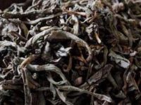 六堡茶的功效与作用，喝六堡茶的7大禁忌
