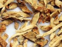 知母的功效与作用及禁忌，知母的图片