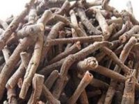 丹皮的功效与作用及禁忌