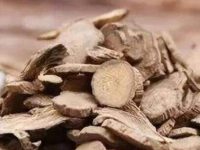 川牛膝的功效与作用及禁忌，川牛膝有什么药用价值
