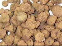 元胡的功效与作用，元胡的副作用