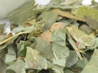 仙灵脾的功效与作用及禁忌 仙灵脾的功效与作用及禁忌
