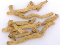 玉竹的功效与作用及禁忌