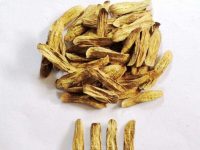 牛蒡茶的功效与作用及食用方法