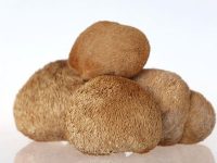 如何用生姜生发 生姜擦头皮能生发吗？