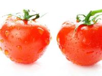 大蒜洋葱 预防胃癌的6种食物