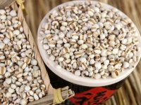 夏季湿气重怎么办？不妨多吃这5种食物