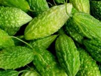 降糖除了吃苦瓜，还有一种“特效药”，您知道是啥么？