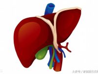 体检查出脂肪肝，这么吃，让你下次体检没有脂肪肝