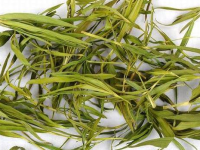 竹叶茶减肥吗，喝竹叶茶能减肥吗
