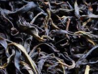 喝了七天乌龙茶胖了5斤，乌龙茶减肥成功30斤