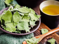 荷叶茶怎么喝才减肥快 这样喝才是减肥正确喝法